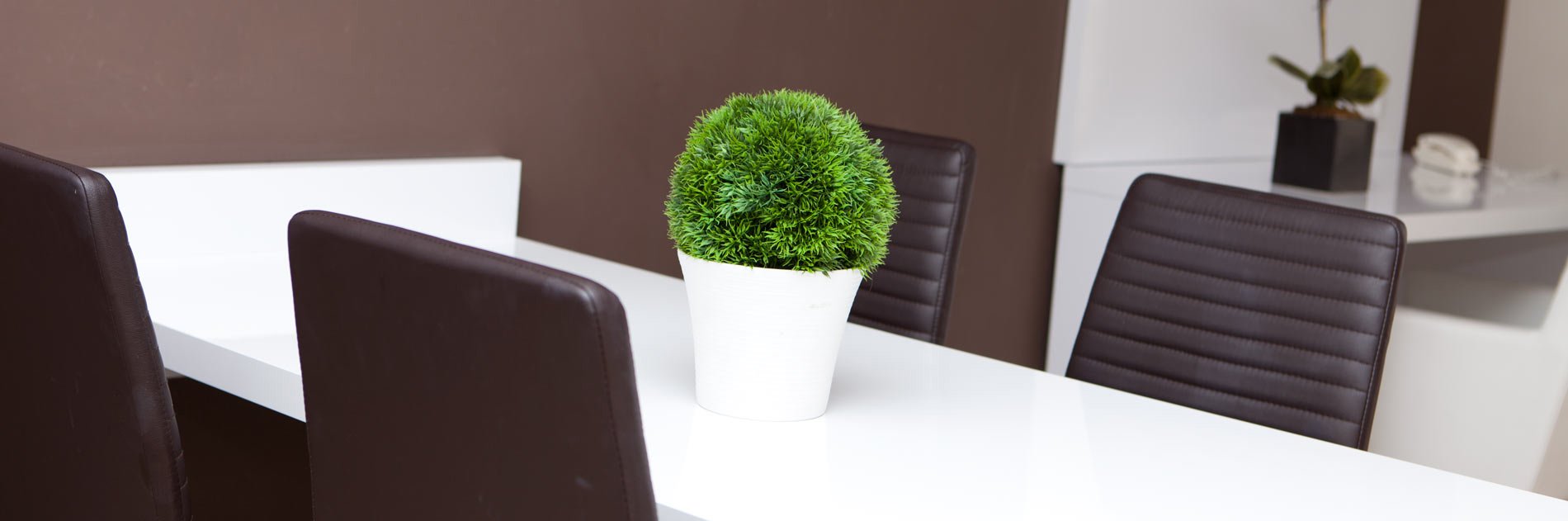 Apartamentos Playa Olid